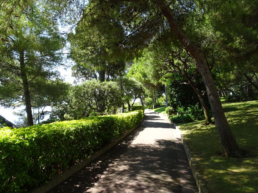 How Can I Enjoy Hobbies Like Photography or Bird Watching With Limited Walking Tolerance?